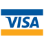 visa logo payment